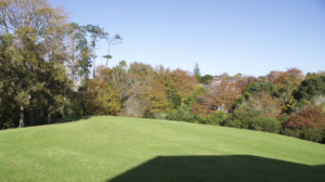 Glenhouse Hall - Reserve